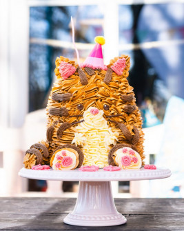 Katzen Kuchen Kitty Cake