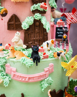 Katzen Torte