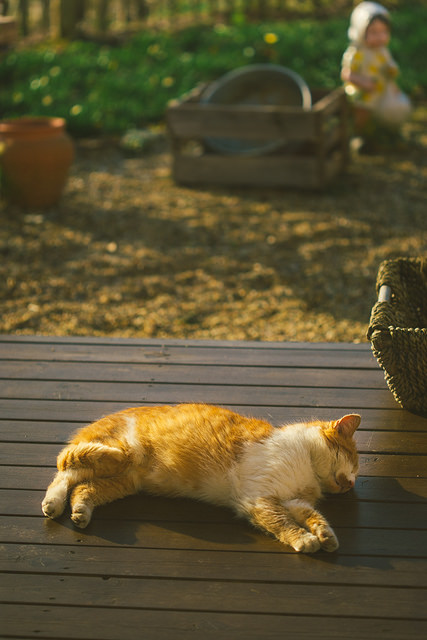 Mehr über den Artikel erfahren Ginger is the new Porch Colour