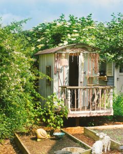 Mehr über den Artikel erfahren Rosa Haus Garten