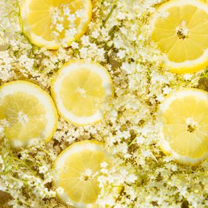 Mehr über den Artikel erfahren Holunderblütensirup