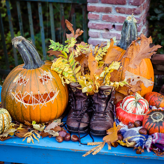 Mehr über den Artikel erfahren Kürbis Schnitzen