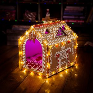 Mehr über den Artikel erfahren Lebkuchen Katzenhaus