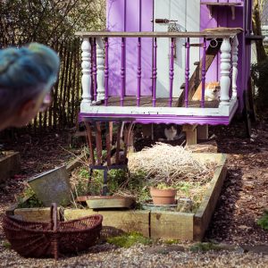 Mehr über den Artikel erfahren Katzenbesuch