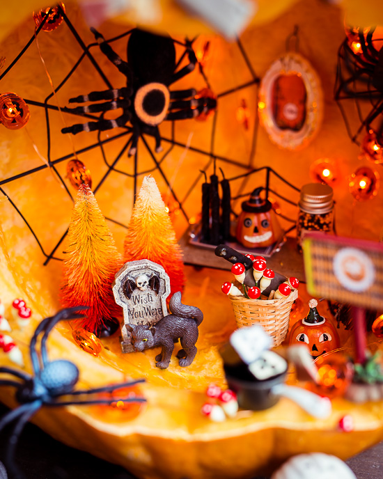 In meinem Halloween Kürbis wohnen natürlich große Spinnen