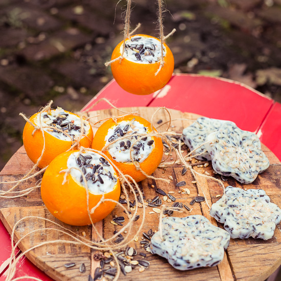 Mehr über den Artikel erfahren Selbstgemachtes Vogelfutter