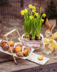 Mehr über den Artikel erfahren Orangen-Honig-Pistazien Madeleines