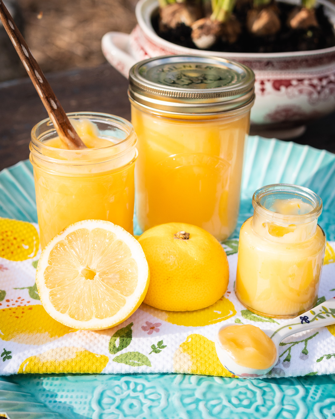 Mehr über den Artikel erfahren Lemoncurd