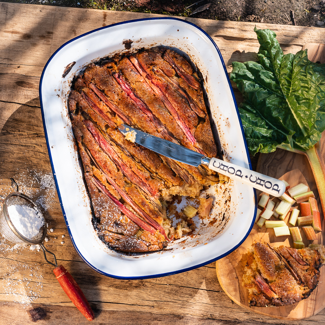 Mehr über den Artikel erfahren Schneller Rhabarberkuchen