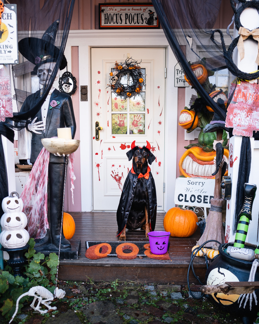 Mehr über den Artikel erfahren Trick or Treaters am Rosa Haus