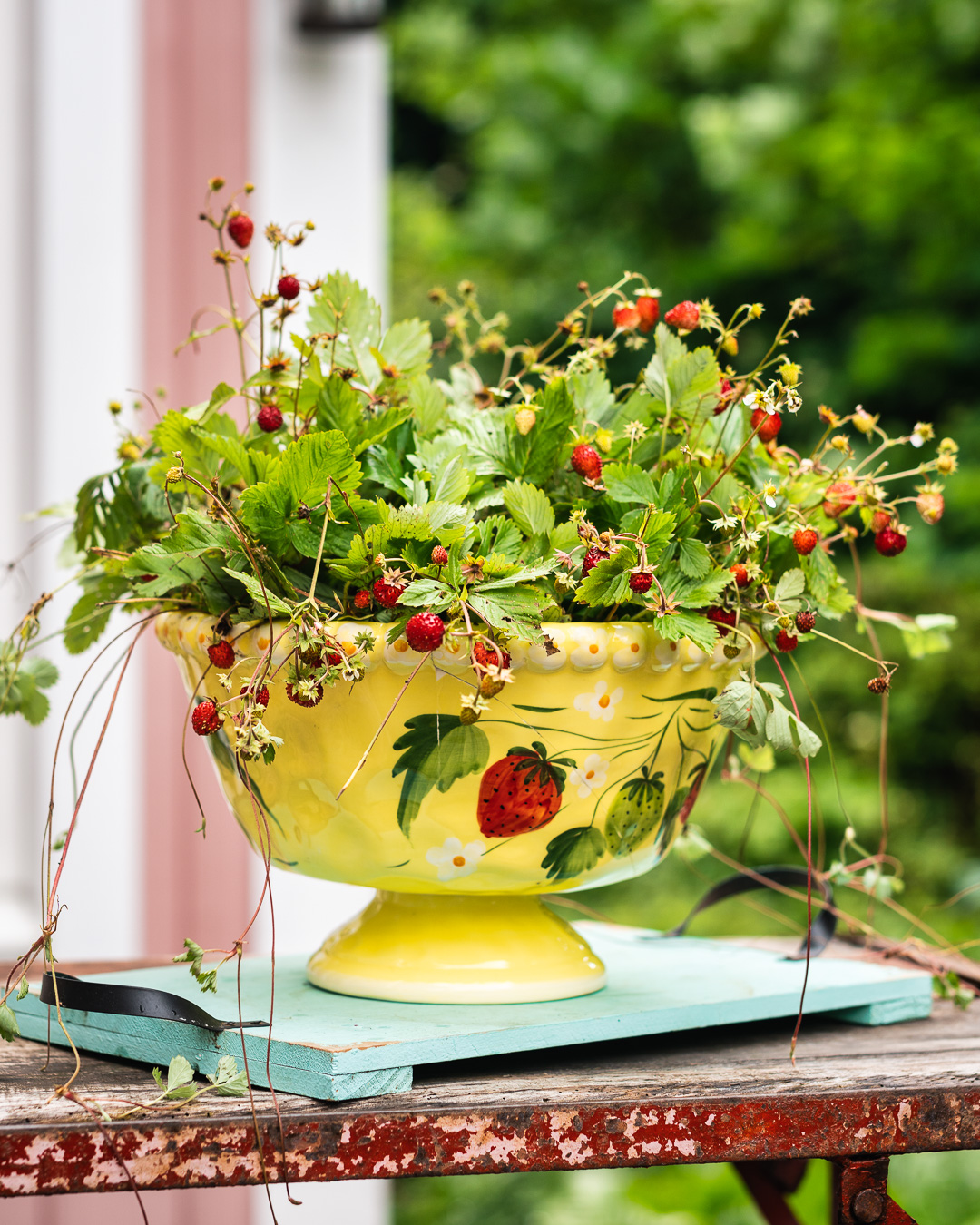 Mehr über den Artikel erfahren Walderdbeeren