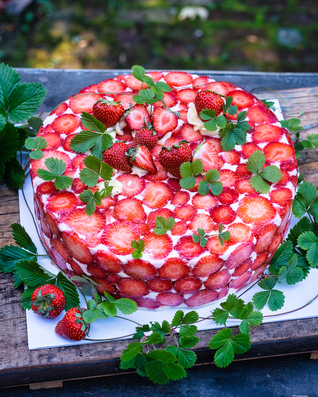 Mehr über den Artikel erfahren Französischer Fraisier Cake mit Erdbeeren