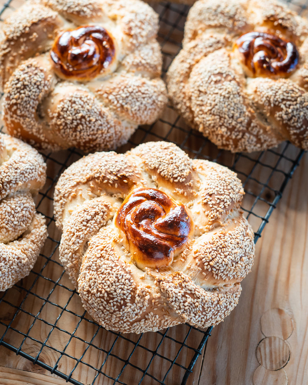 Mehr über den Artikel erfahren Challah Brot Bagels