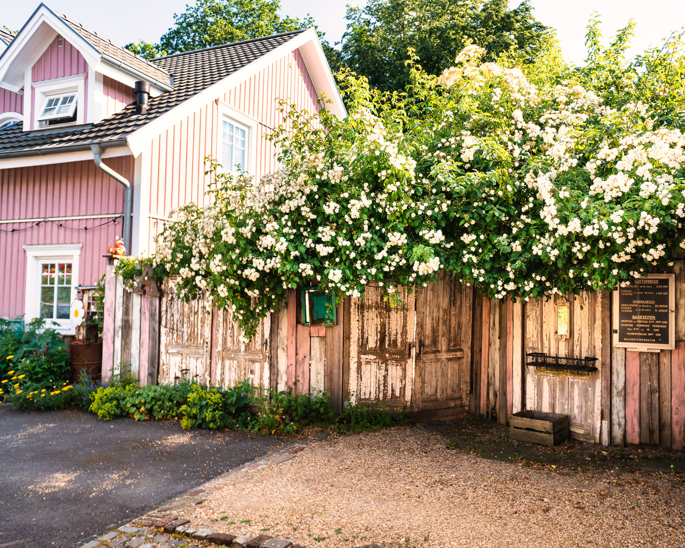 Mehr über den Artikel erfahren Heckenrosen Rosa Haus