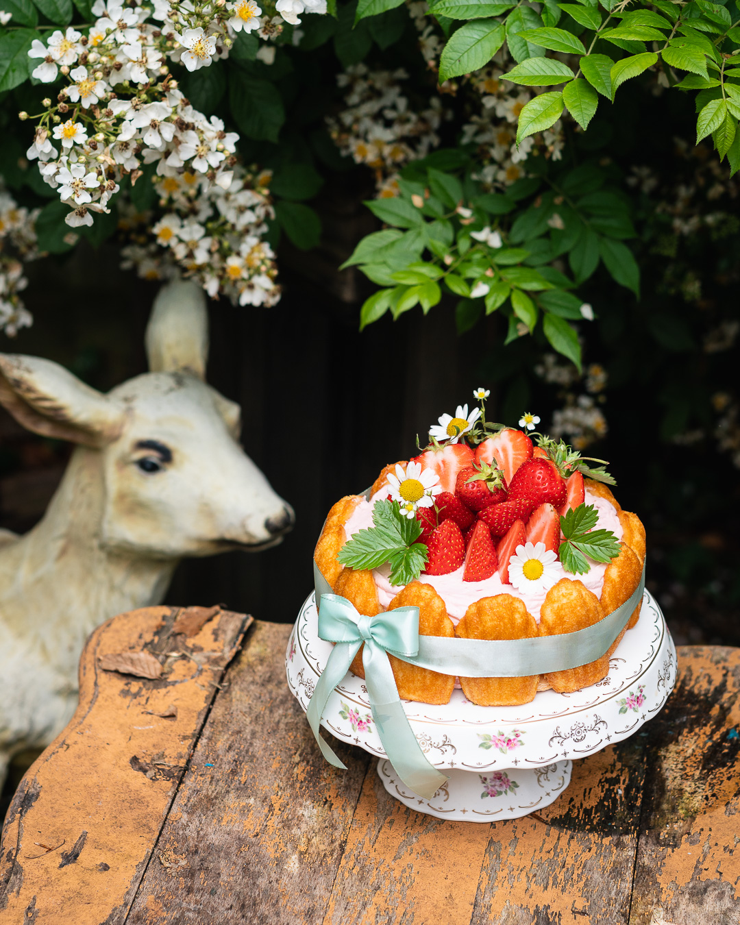 Mehr über den Artikel erfahren Erdbercharlotte mit Madeleines