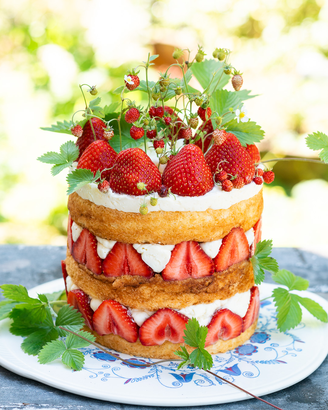 Mehr über den Artikel erfahren Rezept Fraisier Kuchen