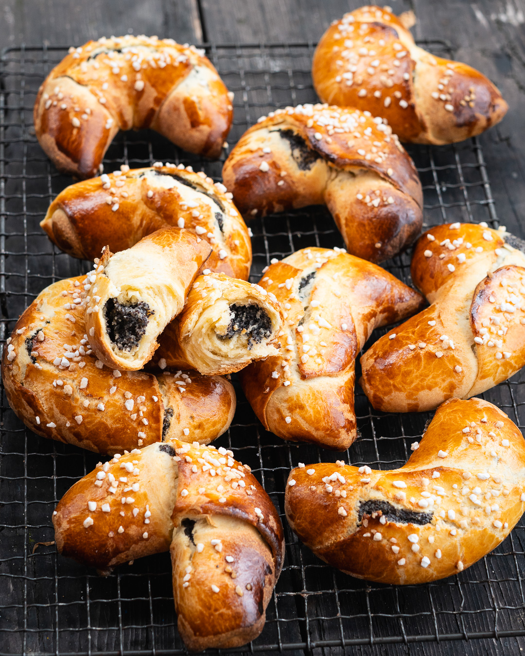 Mehr über den Artikel erfahren Mohnhörnchen