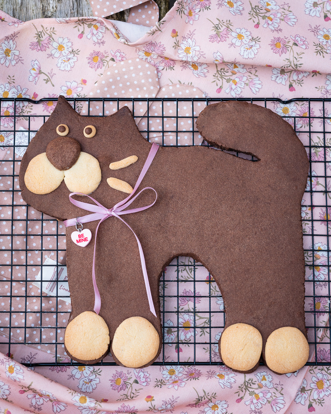 Mehr über den Artikel erfahren Riesen XXL Katzenkeks