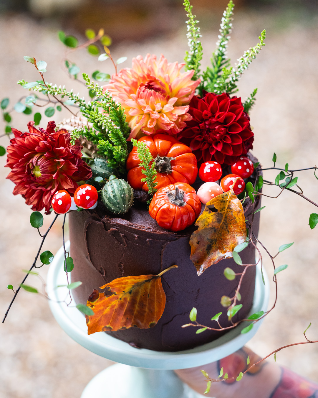 Mehr über den Artikel erfahren Schokokuchen mit Johannisbeermarmelade und Schokobuttercreme