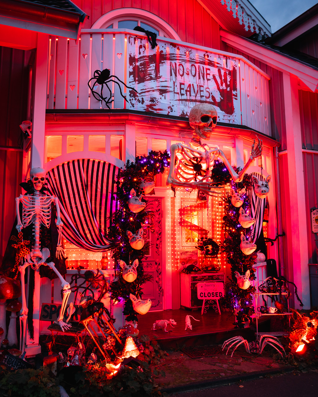 Mehr über den Artikel erfahren Der Eingang vom Rosa Haus an Halloween